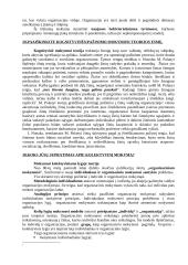 Žinių bei informacijos vadyba 17 puslapis