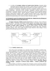 Žinių bei informacijos vadyba 19 puslapis