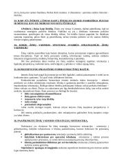 Žinių bei informacijos vadyba 20 puslapis