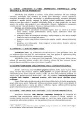 Žinių bei informacijos vadyba 8 puslapis