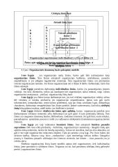 Žinių bei informacijos vadyba 10 puslapis