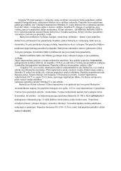 Kliuni reformos aprašymas 2 puslapis