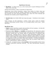 Žmogaus ir kompiuterio sąveika 13 puslapis