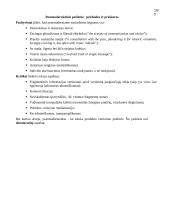 Žmogaus ir kompiuterio sąveika 10 puslapis