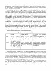 Įgalinimas socialiniame darbe  6 puslapis