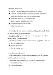 Žurnalistikos teorijos konspektas 4 puslapis