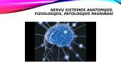Nervų sistemos anatomijos, fiziologijos, patologijos pagrindai