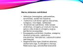 Nervų sistemos anatomijos, fiziologijos, patologijos pagrindai 11 puslapis