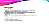 Nervų sistemos anatomijos, fiziologijos, patologijos pagrindai 13 puslapis
