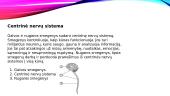 Nervų sistemos anatomijos, fiziologijos, patologijos pagrindai 5 puslapis