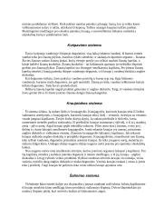 Žuvų klasė 3 puslapis