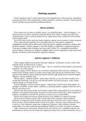 Žuvų klasė 4 puslapis