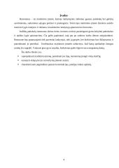 60 vietų itališkų patiekalų restorano projektavimas Jurbarke 3 puslapis