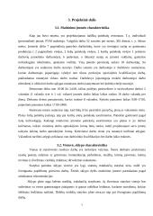 60 vietų itališkų patiekalų restorano projektavimas Jurbarke 6 puslapis