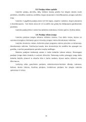 60 vietų itališkų patiekalų restorano projektavimas Jurbarke 9 puslapis