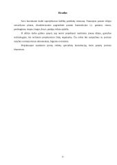 60 vietų itališkų patiekalų restorano projektavimas Jurbarke 10 puslapis