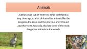 Presentation about Australia 4 puslapis