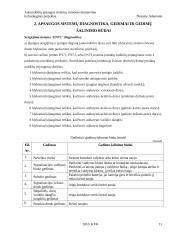 Automobilių apsaugos sistemų remonto ir montavimo technologinis projektas 11 puslapis