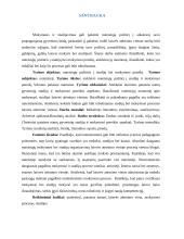 Studijų ir mokymosi poreikis Vilniaus pataisos namų gyventojų tarpe 2 puslapis