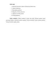 Studijų ir mokymosi poreikis Vilniaus pataisos namų gyventojų tarpe 4 puslapis