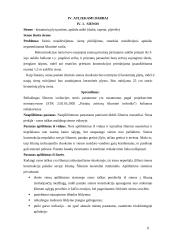 Daugiabučio namo Druskininkuose rekonstrukcija 11 puslapis