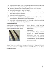 Daugiabučio namo Druskininkuose rekonstrukcija 12 puslapis