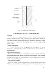 Daugiabučio namo Druskininkuose rekonstrukcija 13 puslapis