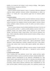 Daugiabučio namo Druskininkuose rekonstrukcija 14 puslapis