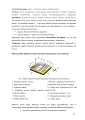 Daugiabučio namo Druskininkuose rekonstrukcija 16 puslapis