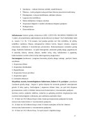 Daugiabučio namo Druskininkuose rekonstrukcija 17 puslapis