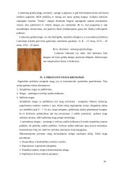 Daugiabučio namo Druskininkuose rekonstrukcija 18 puslapis