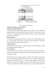 Daugiabučio namo Druskininkuose rekonstrukcija 20 puslapis