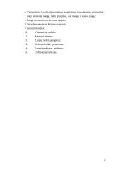 Daugiabučio namo Druskininkuose rekonstrukcija 7 puslapis