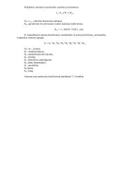  Drenažo sistemos planas  9 puslapis