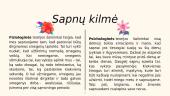 Prezentacija apie sapnų reikšmes 4 puslapis
