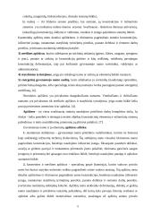 Gyvenamųjų namų eksploatacija, remontas ir rekonstrukcija 5 puslapis