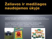 Žemės ūkio pristatymas 6 puslapis