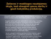 Žemės ūkio pristatymas 7 puslapis