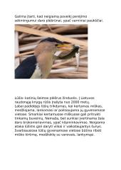 Lietuvos nykstančios gyvūnų rūšys 5 puslapis