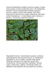 Lietuvos nykstančios gyvūnų rūšys 7 puslapis