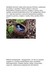 Lietuvos nykstančios gyvūnų rūšys 8 puslapis