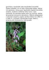 Lietuvos nykstančios gyvūnų rūšys 9 puslapis