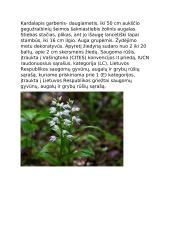 Lietuvos nykstančios gyvūnų rūšys 10 puslapis