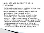 Chemija ir menas 2 puslapis