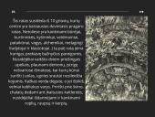  Pomirtinio pasaulio vaizdavimas Dantės pragare 20 puslapis