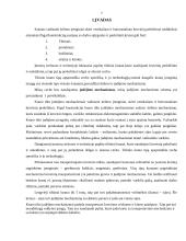 Krano parinkimas ir paskaičiavimas 2 puslapis