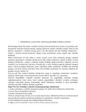 Priėmimas į valstybės tarnybą (rašto darbas) 4 puslapis