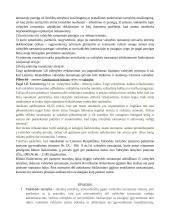 Priėmimas į valstybės tarnybą (rašto darbas) 7 puslapis