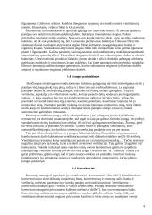 Maisto pramonės įmonių ir gyvenamųjų namų oro kondicionavimo sistemos 3 puslapis