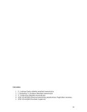 Metalinės konstrukcijos: sijynas 19 puslapis